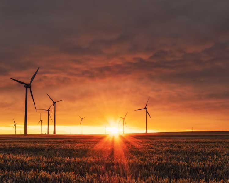 project-slider-image